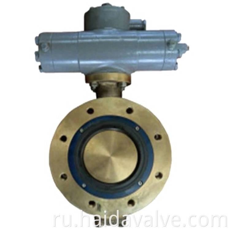 EN558 Serial 14 flange butterfly valve